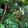Naturaleza y libertad