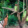 Libertad y naturaleza