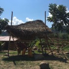 Parque Bambú: módulo cubierto